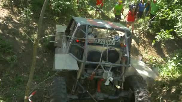 Offroad Cars Driving Forest — Stock Video