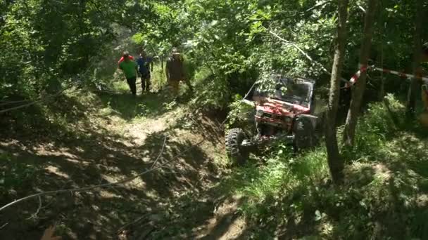 Piros Autó Erdőben Egy Offroad Rendezvényen — Stock videók