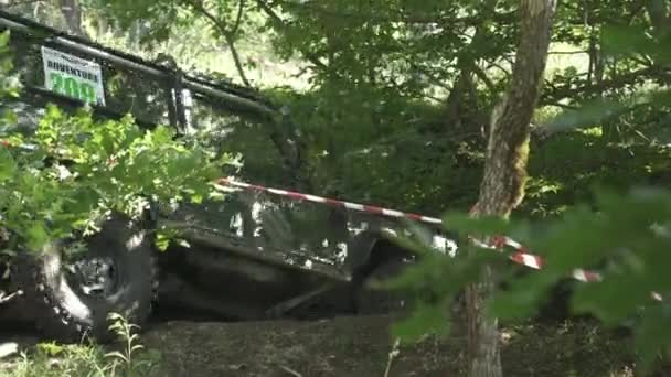 Coche Todoterreno Conduciendo Bosque — Vídeo de stock