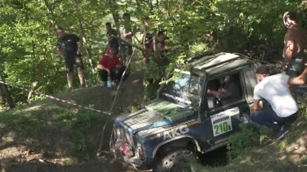 Offroad Autó Erdőben — Stock videók