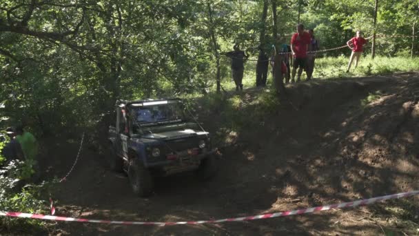 Coche Todoterreno Bosque — Vídeo de stock