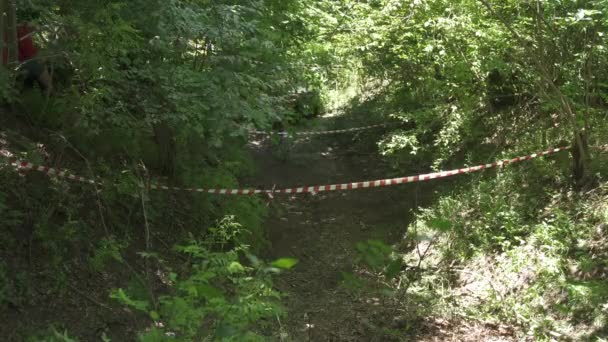 Bosque Carretera Coche Offroad — Vídeo de stock