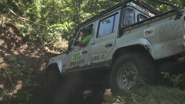 Coche Todoterreno Bosque — Vídeos de Stock