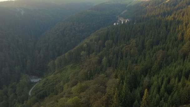 Vista Aérea Uma Floresta Área Transilvânia — Vídeo de Stock