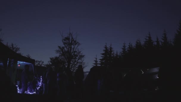 Нічна Вечірка Лісі — стокове відео