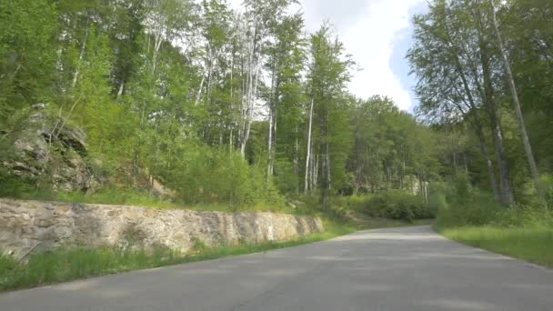 Person Longboarding Road Forest — Wideo stockowe