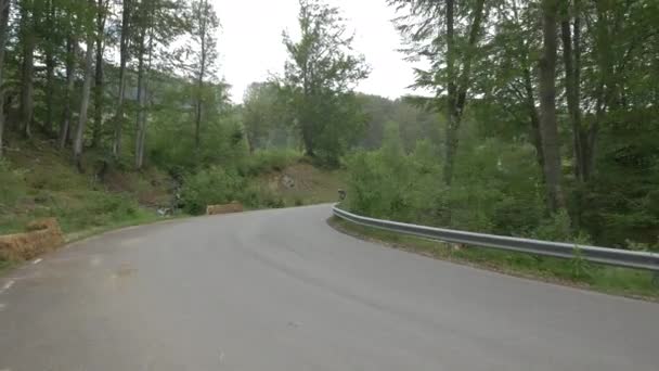 Longboard Persona Una Carretera Con Curvas — Vídeos de Stock