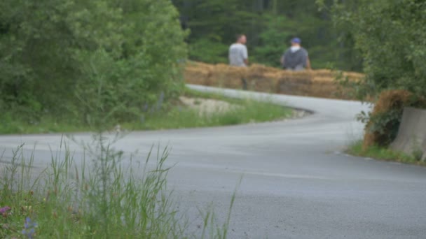 Route Sinueuse Dans Une Forêt — Video