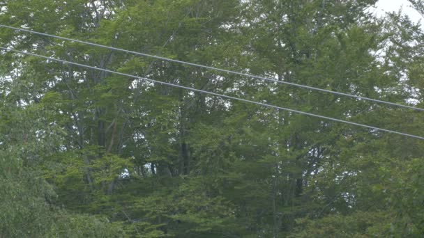 Vue Tramway Aérien — Video