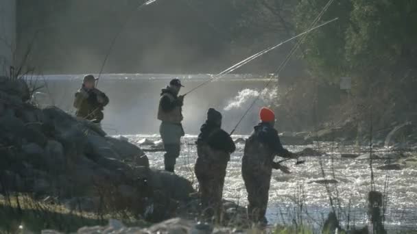 Pescatori Sulla Riva Del Fiume Port Albert — Video Stock