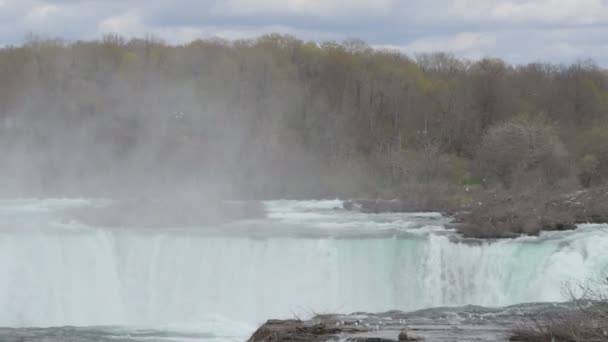Horseshoe Falls Tourist Attraction — Stok video