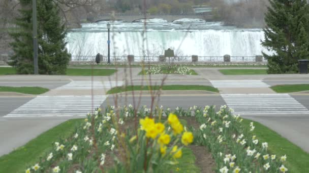 Niagara Parkway Niagara Falls Canada — Stock Video