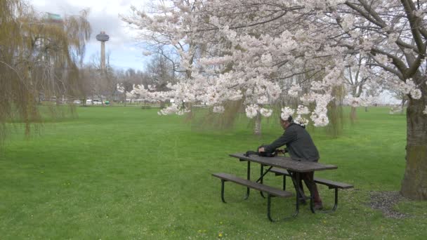 男人坐在公园的长椅上 — 图库视频影像