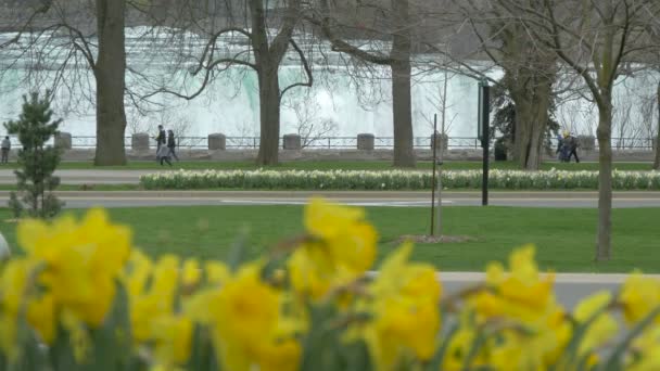 Taman Bunga Dekat Dengan Air Terjun Niagara — Stok Video