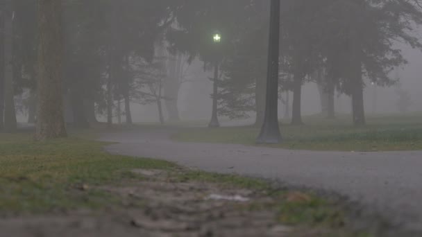 Beco Parque — Vídeo de Stock