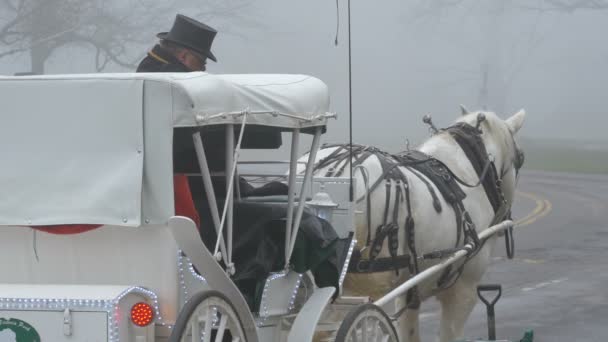 Повозка Белой Лошадью — стоковое видео
