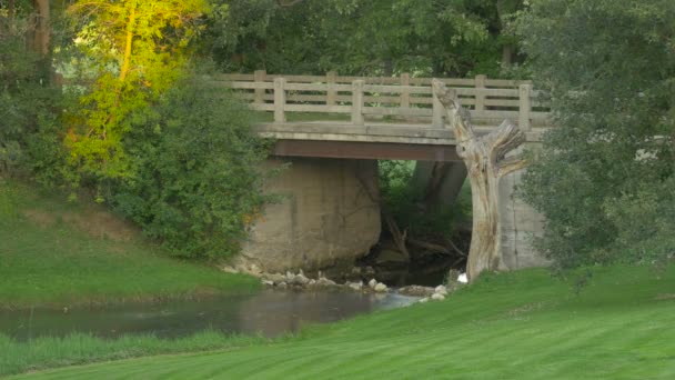 Bridge Cambridge Riverside Park — Vídeo de Stock