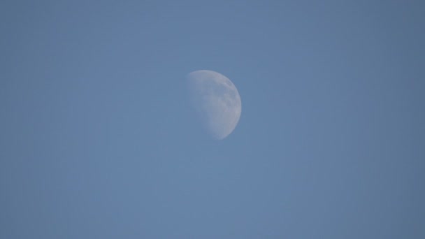 Luna Cielo Azul — Vídeos de Stock