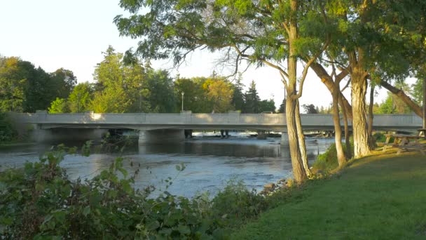 Cambridge Nehir Üzerinde Köprü Görüldü — Stok video