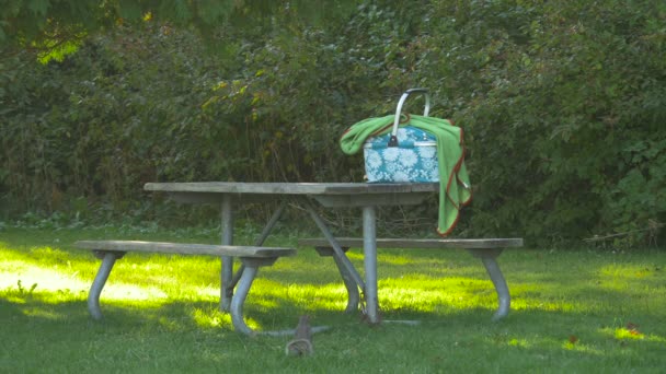 Panier Pique Nique Sur Une Table — Video