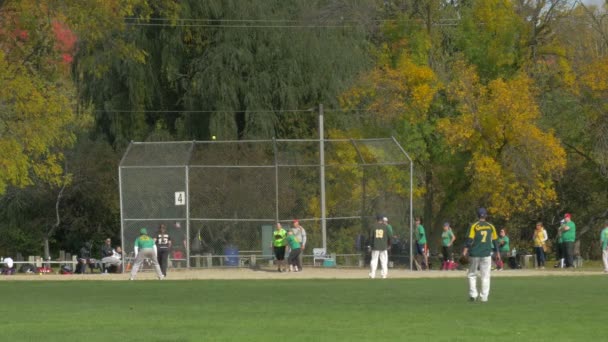 公園で野球をしている人たち — ストック動画