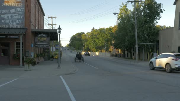 Kutschfahrt Kanada — Stockvideo