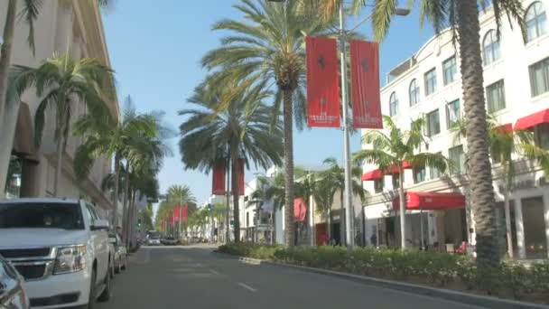Pálmafák Utcán Beverly Hills Amerikai Egyesült Államok — Stock videók