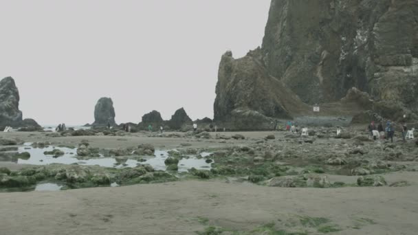 바위가 해변에 사람들의 — 비디오