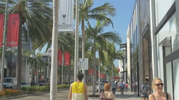 Mensen Winkels Palmbomen Een Straat Verenigde Staten Van Amerika — Stockvideo