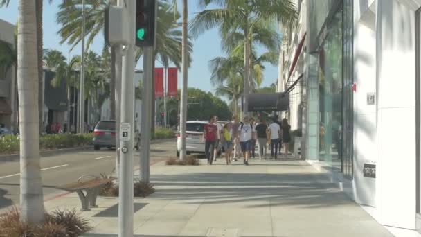 アメリカの通りを歩く観光客のグループ — ストック動画