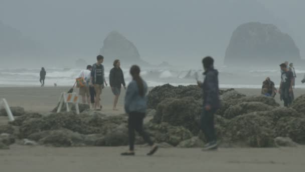 Persone Che Camminano Sulla Spiaggia — Video Stock