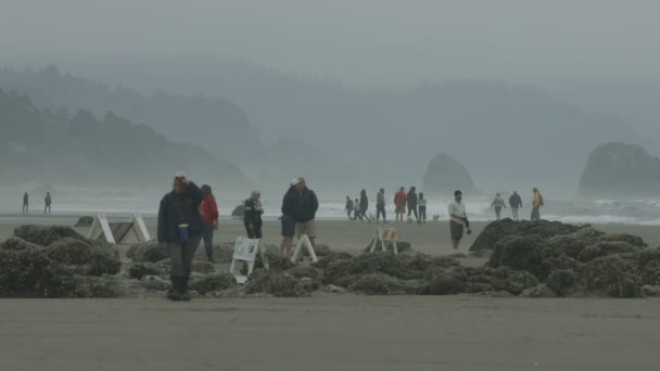 Gente Sulla Spiaggia Una Giornata Nebbiosa — Video Stock