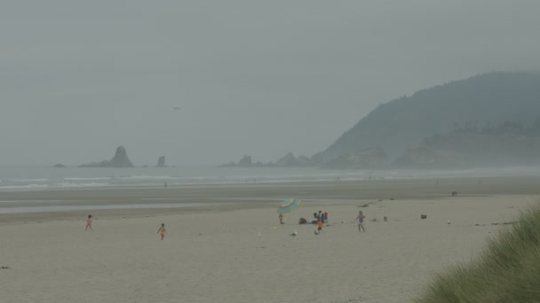 Bambini Che Giocano Sulla Spiaggia Della Costa Dell Oregon — Video Stock
