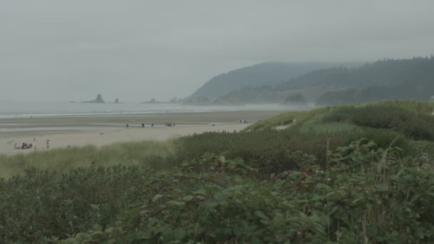 Krajina Pobřeží Oregonu — Stock video