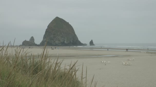 Haystack Rock Oregon Coast — Stock video