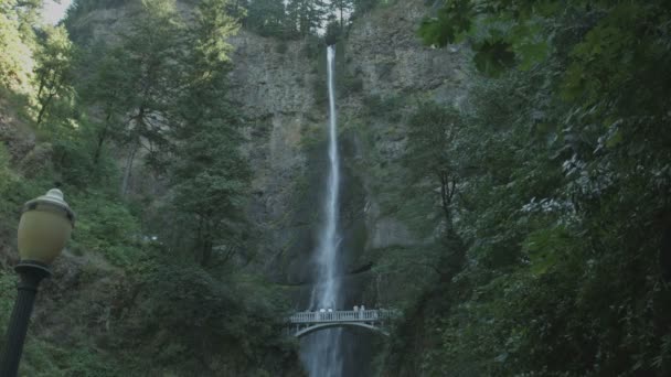 Cascada Multnomah Vedere Pitorească — Videoclip de stoc