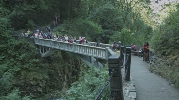 Τουρίστες Μια Γέφυρα Στο Multnomah Falls — Αρχείο Βίντεο