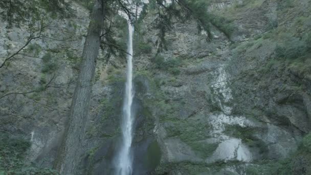 Blick Auf Die Multnomah Falls — Stockvideo