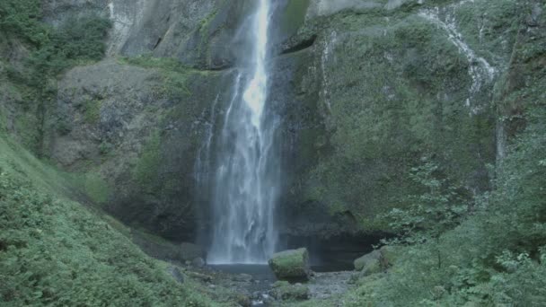 Multnomah Falls Vallen Langzaam — Stockvideo