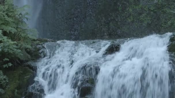 Dichtbij Zicht Een Waterval — Stockvideo