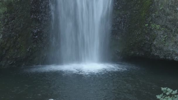 Дно Водопада — стоковое видео