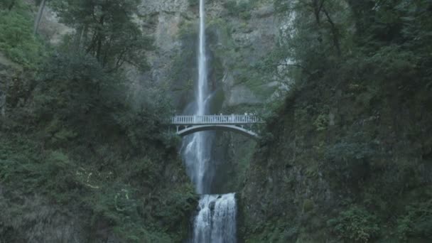 Blick Auf Die Multnomah Falls — Stockvideo