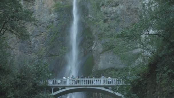 Tilt View Multnomah Falls Орегон — стоковое видео