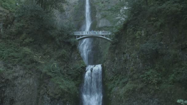 Blick Auf Multnomah Falls Usa — Stockvideo