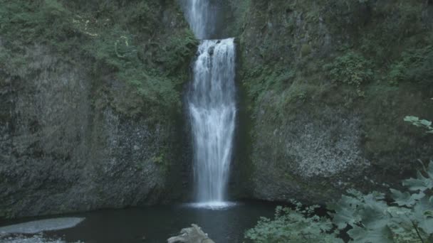 Die Talsohle Der Multnomah Falls — Stockvideo