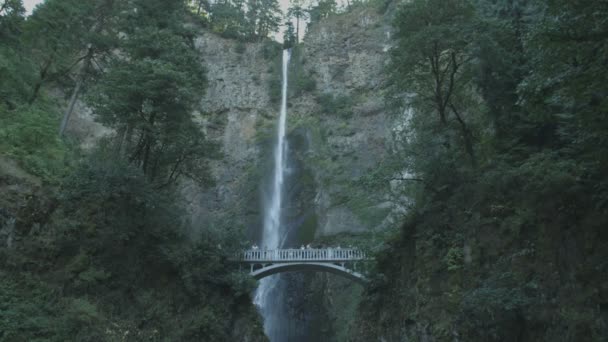 Brücke Bei Multnomah Falls Den Usa — Stockvideo