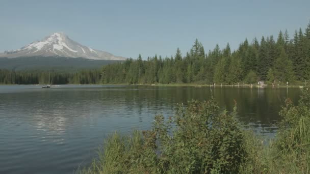 Kilátás Tóra Mount Hood — Stock videók