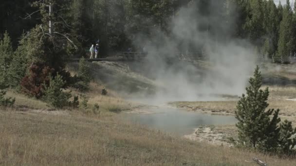 Warme Lente Yellowstone National Park — Stockvideo