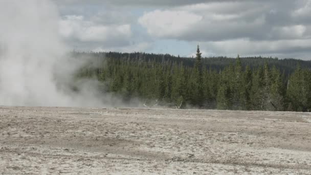 Stoom Stijgt Buurt Van Een Bos Yellowstone National Park — Stockvideo