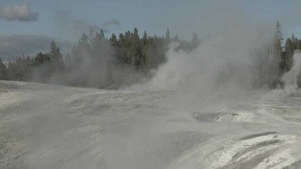 Bacia Geyser Inferior Parque Nacional Yellowstone — Vídeo de Stock